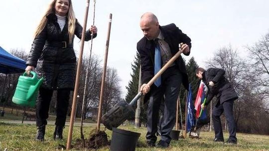 Platforma i KOD-owcy posadzili drzewa w Lublinie. Na złość PiS