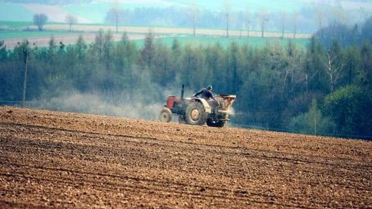 Płatności bezpośrednie dla rolników. Będą zaliczki