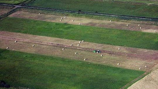 Płatności bezpośrednie dla rolników po nowemu