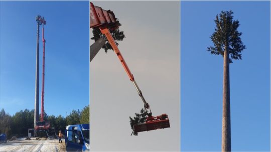 Play postawił nadajnik w sąsiedztwie Roztoczańskiego Parku Narodowego. Wygląda jak wielkie drzewo