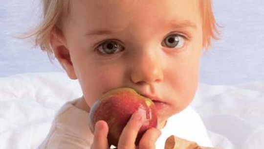 Plebiscyt Maluch na okładkę. Głosowanie rozpoczęte