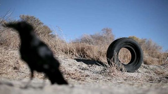 Plenerowe Kino Perła. Repertuar 20-24 lipca