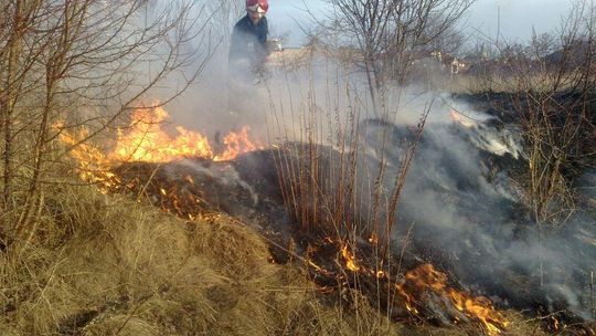 Płoną suche trawy: Dzisiaj już 16 pożarów