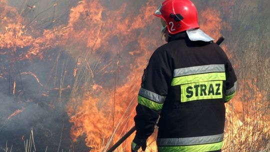 Płoną trawy na Górkach Czechowskich