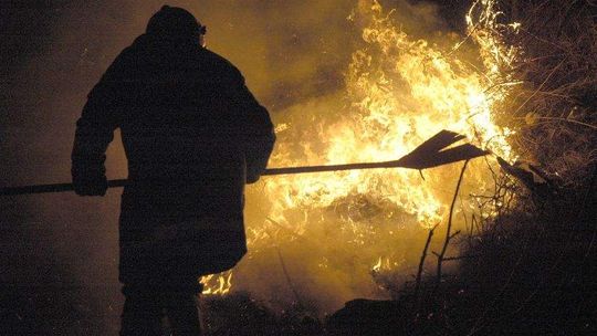 Płoną trawy na potęgę. Co grozi za wypalanie?