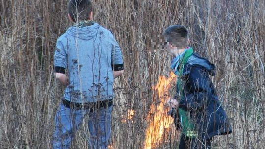 Płoną trawy. Nie ma siły na głupotę (wideo)