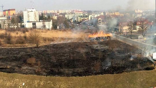 Płoną trawy w Lublinie i okolicach. Dziś już 9 pożarów
