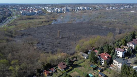 Płoną trawy w Lublinie. Na miejscu 7 zastępów strażaków