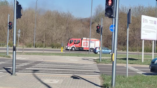 Płonął trawy w Lublinie. Na miejscu 7 zastępów strażaków