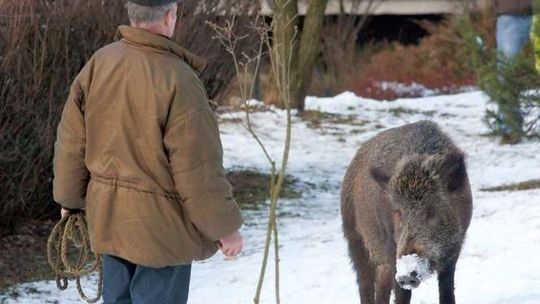 Płot powstanie wzdłuż granicy Polski z Białorusią i Ukrainą