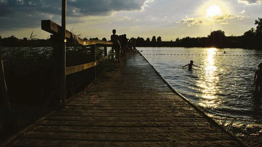 "Plugawy ptak nocy" się zdenerwował. Radni dyskutowali o petycji ws. budowy obwodnicy