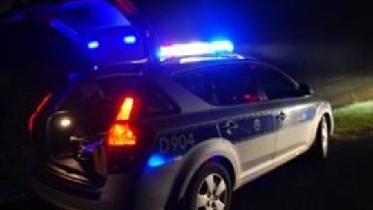 Płusy: Rumuni kradli drewno