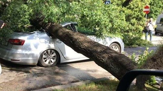 Po burzy w Lublinie i regionie: 52 uszkodzone budynki, 670 interwencji strażaków