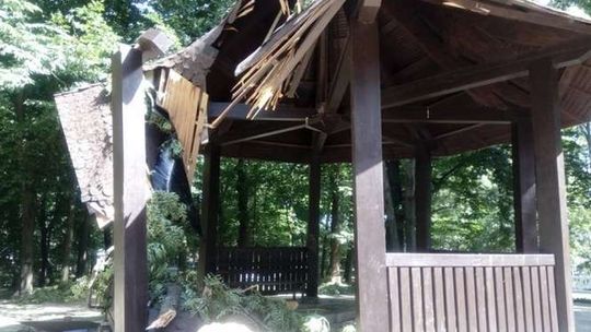 Po burzy w Lublinie: Ogród Saski nieprędko zostanie otwarty