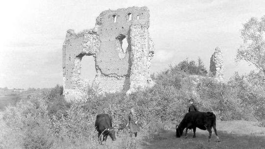 Po dziesięciu dniach umarł z głodu. Historia zamku w Bochotnicy