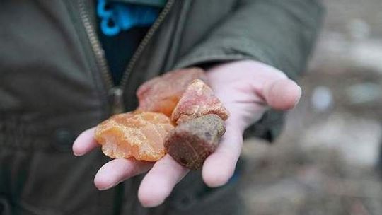 Po lubelskim węglu lubelski bursztyn