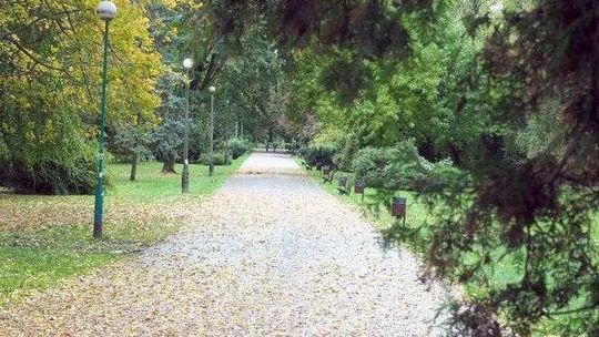 Po parku Ludowym będzie można jeździć konno. Co jeszcze się zmieni?