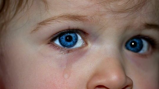 Po reorganizacji ośrodków adopcyjnych miało być lepiej. A jak jest?  