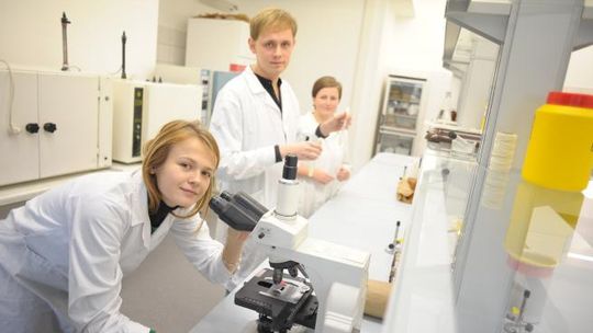 Po tych studiach najłatwiej o dobrą pracę
