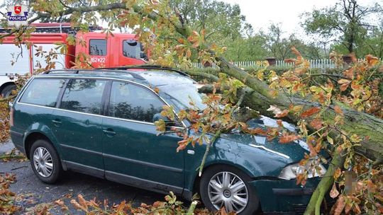 Po wichurach w Lubelskiem. Drzewo przygniotło samochód, w środku jechało czterech mężczyzn
