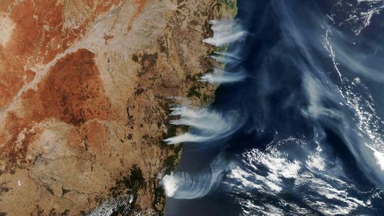 Pochłonęły ok. 10 mln. hektarów. Wyjaśniamy skąd się wzięły pożary w Australii