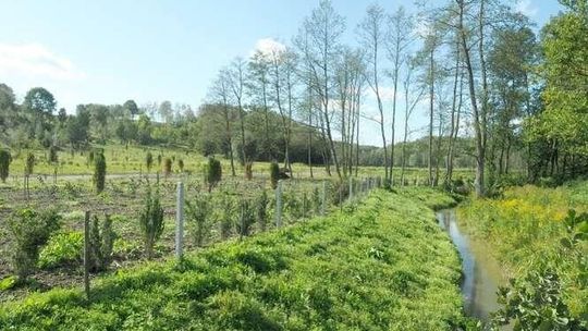 Pod Kazimierzem Dolnym ma powstać park rozrywki. Co będzie na 57 hektarach?