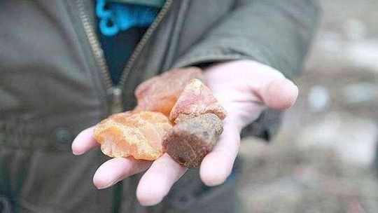 Pod Lubartowem miało być lotnisko. Będzie kopalnia bursztynu?