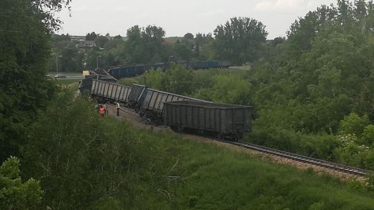 Pod Lublinem wykoleił się pociąg. Połączenia odwołane