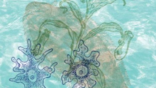 "Pod taflą wody": Warsztaty dla rodzin w DDK Czuby Południowe