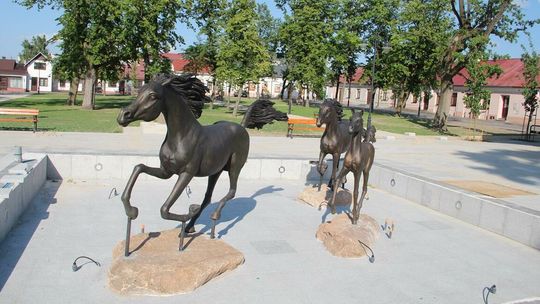 Podczas rewitalizacji skweru wycięto 94 ze 140 drzew. "Trochę mniej cienia jest, ale za to nowocześniej"