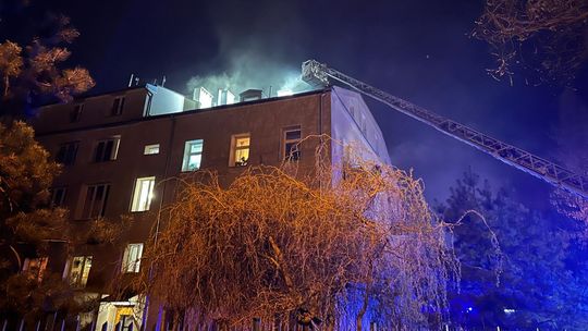 Poddasze kamienicy w ogniu. Czujka uratowała mieszkańców 