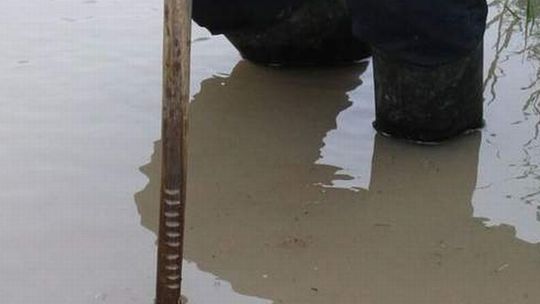 Podnosi się poziom wody w rzekach