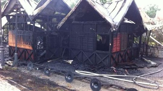 Podpalacza z bosmanatu nie znaleźli. Kolejne podpalenie w Kazimierzu