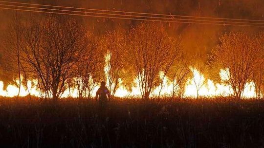 Podpalacze nie odpuszczają. Kolejne pożary traw