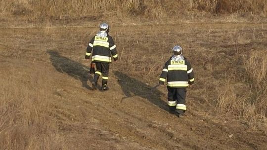 Podpalenia traw w Lublinie: \"Sprawcy nawet nie uciekają\"