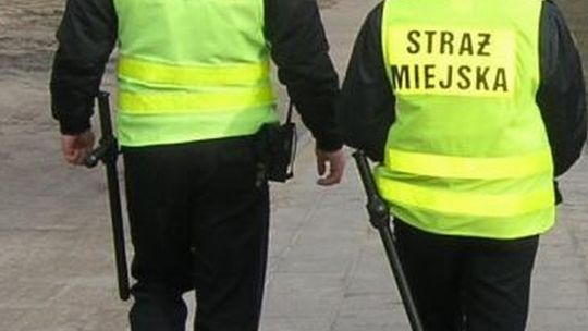 Podpalenie w sylwestra. To nie był krzyż, tylko doniczka