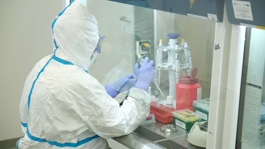 Podróże po Europie. Czy wszystkie dzieci muszą przechodzić testy na koronawirusa? 