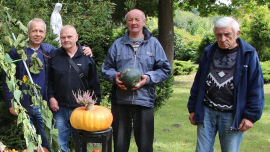 Podwyżki pogrążają schronisko dla bezdomnych. Potrzebna pomoc