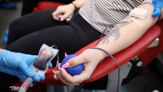 Podziel się życiem – zbiórki krwi na Lubelszczyźnie w pierwszym tygodniu września