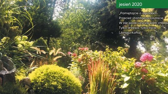 "Pogadajmy o ogrodach". Spotkanie działkowców w DK LSM