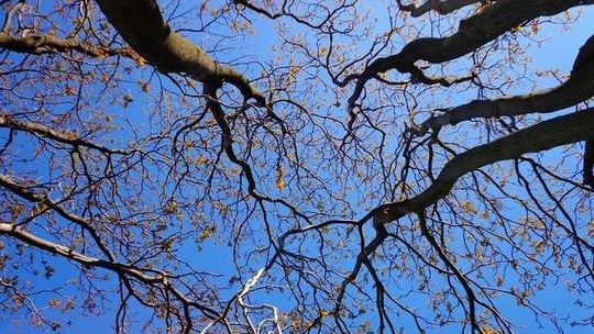 Pogoda będzie sprzyjać spacerom. Niedziela ma być bardzo ciepła