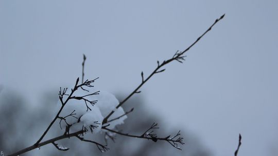 Pogoda: Koniec ocieplenia. Wraca mróz