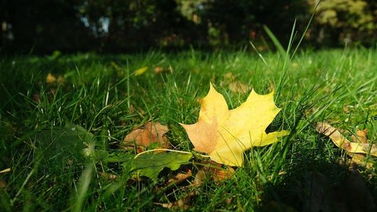 Pogoda na weekend. Pochmurno i raczej zimno