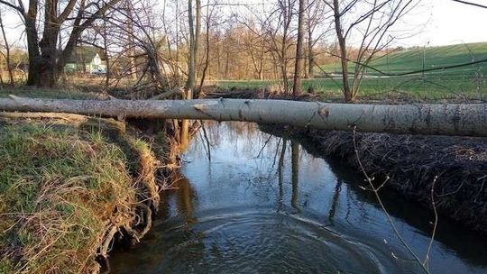 Pogoda na Wielkanoc 2017. Ostrzeżenie pogodowe