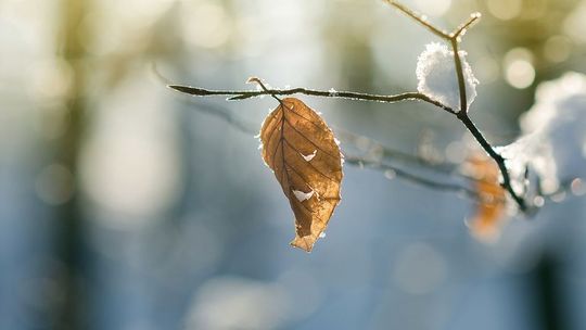 Pogoda: Nadchodzi ochłodzenie, w Lubelskiem możliwy śnieg