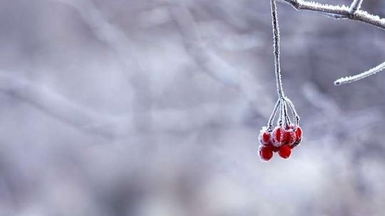 Pogoda: Niedziela pochmurna i z opadami