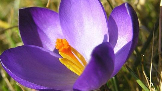 Pogoda: Od środy będzie gorąco