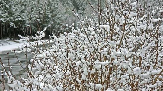 Pogoda: Śnieg w całym województwie