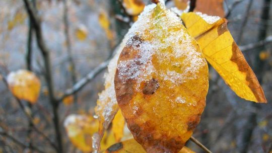 Pogoda: Synoptycy zapowiadają dziś przelotne opady śniegu
