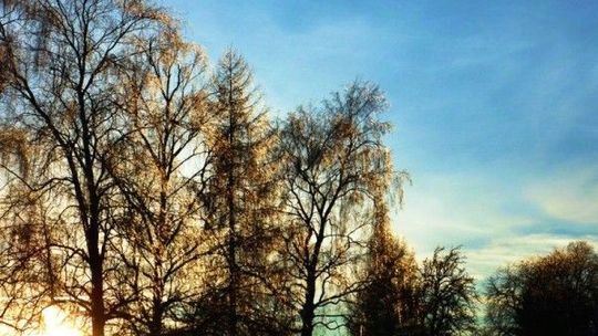 Pogoda w Lublinie: Jesień zamiast zimy. Nawet 8 stopni Celsjusza